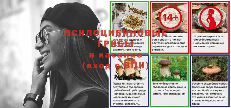 Псилоцибиновые грибы ЛСД  блэк спрут как войти  Оса  купить наркотик 